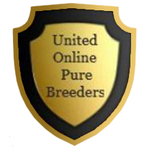 United Online Pure Breeders