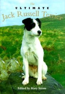 The Ultimate Jack Russell Terrier 